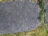 image of grave number 925652